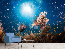 photo-wallpaper-lionfish-ii