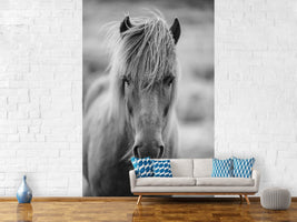 photo-wallpaper-horse-being-at-the-corridor