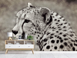 photo-wallpaper-beautiful-cheetah