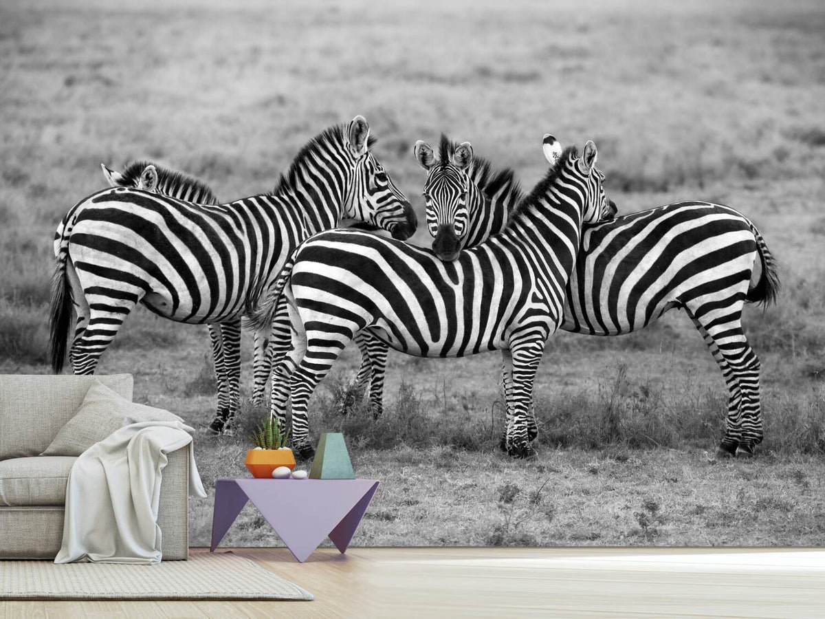 photo-wallpaper-stripes-xoh