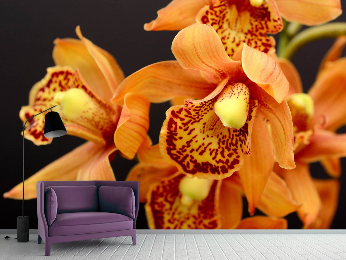 photo-wallpaper-orchids-with-orange-flowers