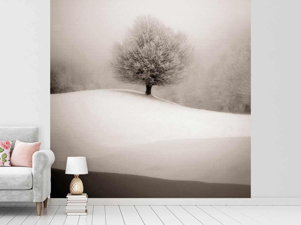 photo-wallpaper-winter-degradee