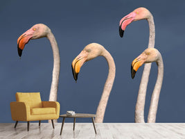 photo-wallpaper-flamingos-close-up-x