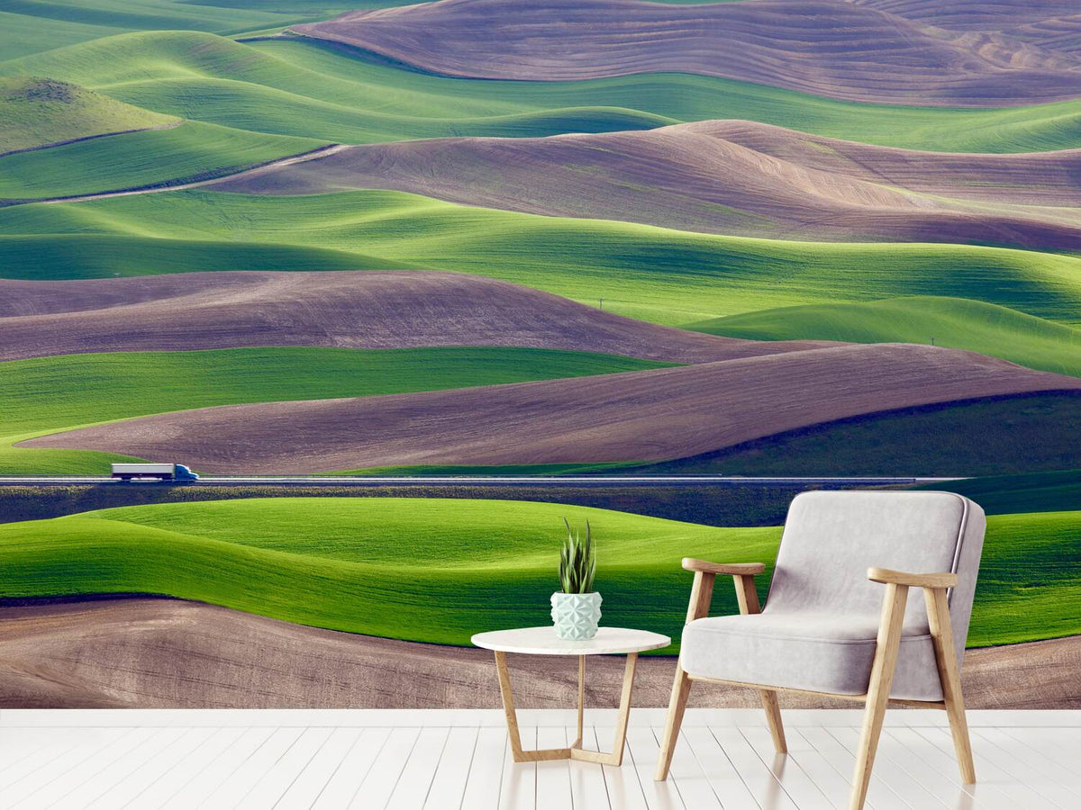 photo-wallpaper-driving-in-the-wheat-field-at-palouse-x