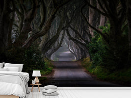 photo-wallpaper-magic-road