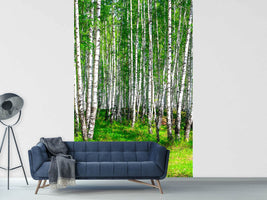 photo-wallpaper-the-birch-forest-in-summer