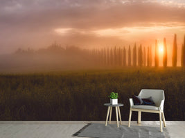 photo-wallpaper-tuscany-sunrising