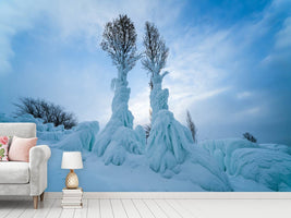 photo-wallpaper-warmth-in-the-cold