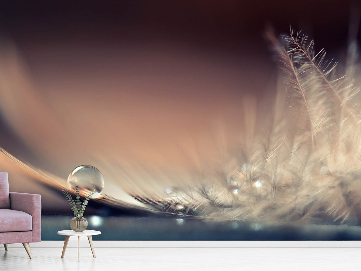 photo-wallpaper-stories-of-drops