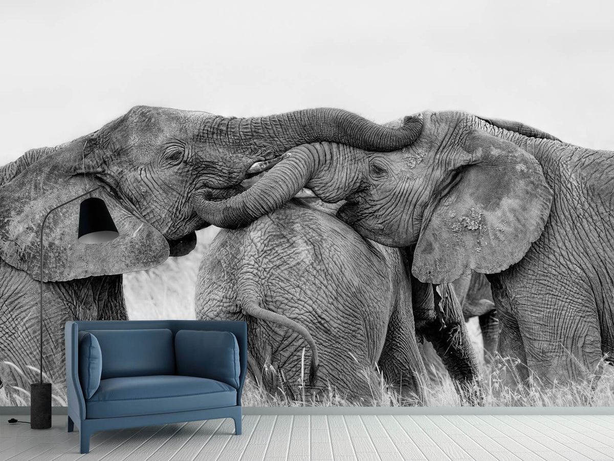 photo-wallpaper-elephant-playing-x