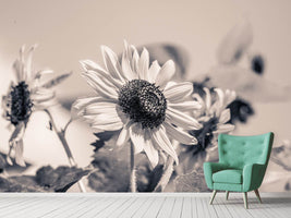 photo-wallpaper-sunflowers-sw