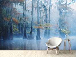 photo-wallpaper-foggy-swamp-morning-x