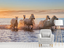 photo-wallpaper-camargue-horses-ii-x