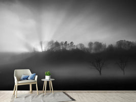 photo-wallpaper-the-sun-in-the-fog