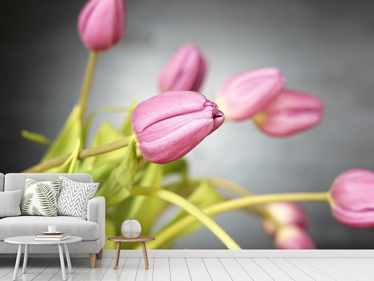 photo-wallpaper-the-tulip-bouquet-in-pink