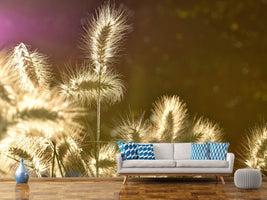 photo-wallpaper-the-ornamental-grass