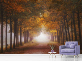 photo-wallpaper-foggy-autumn-dream-x