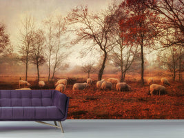 photo-wallpaper-last-days-of-autumn