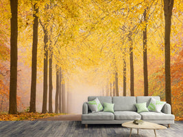 photo-wallpaper-autumn-road-x