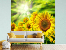 photo-wallpaper-the-sun-and-the-flowers