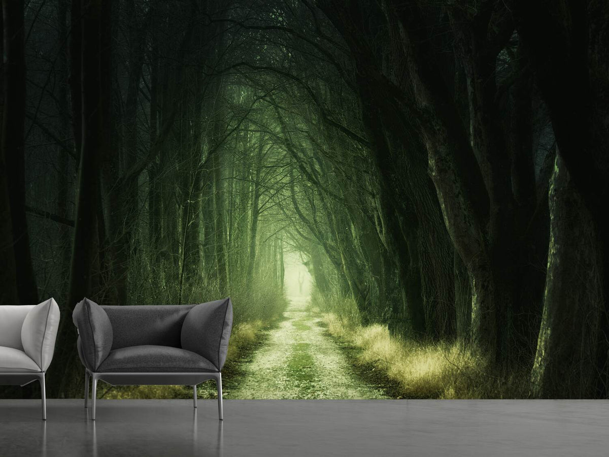 photo-wallpaper-mysterious-forest-iii