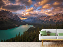 photo-wallpaper-peyto-lake-at-dusk