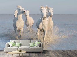 photo-wallpaper-horses-xue