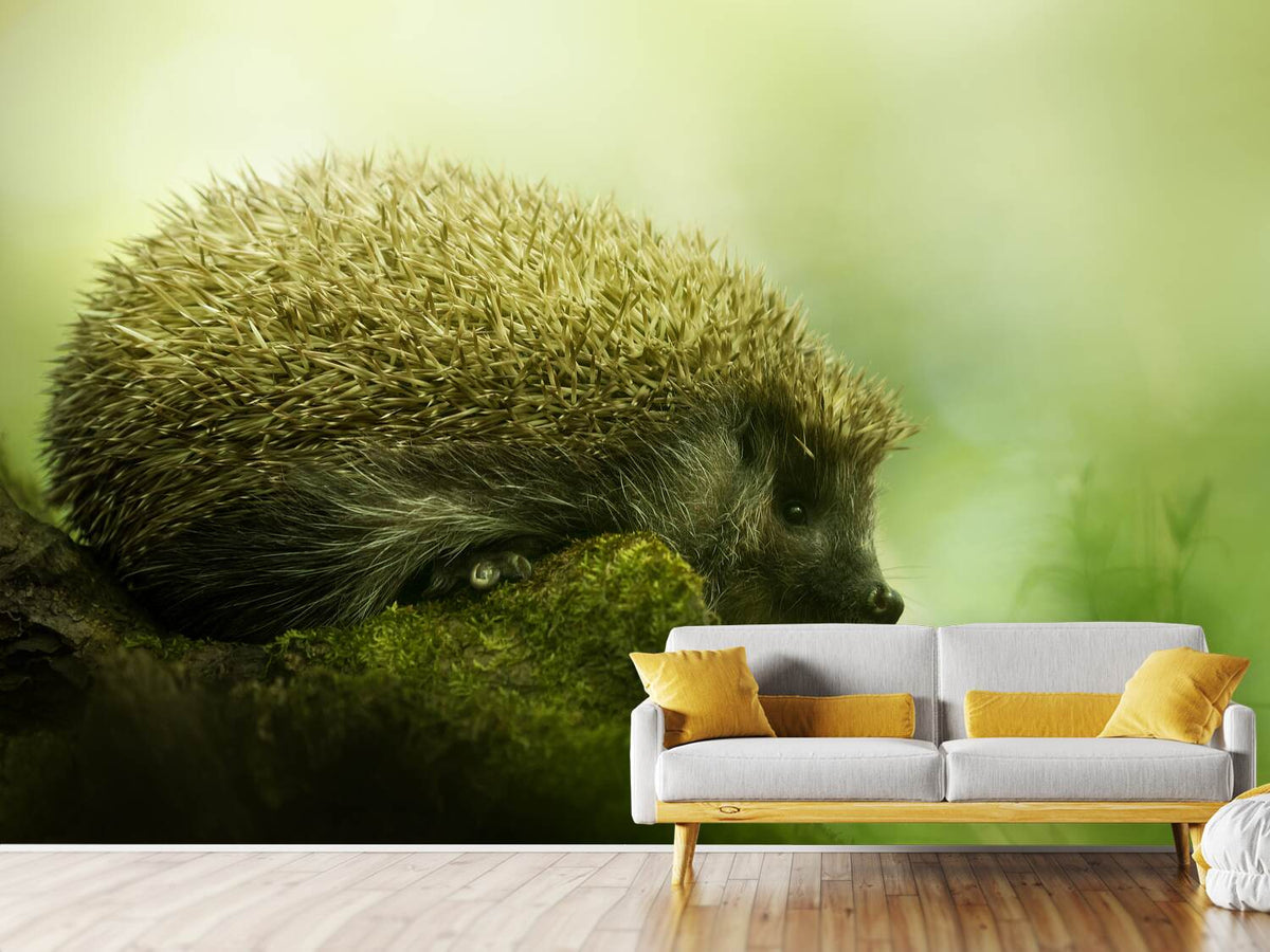 photo-wallpaper-hedgehog-x