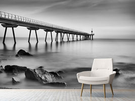 photo-wallpaper-pont-del-petroli-x