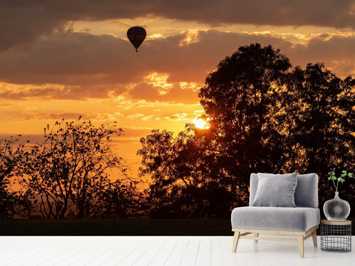 photo-wallpaper-towards-the-sun-with-the-hot-air-balloon