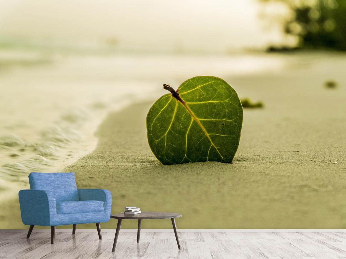 photo-wallpaper-beach-leaf