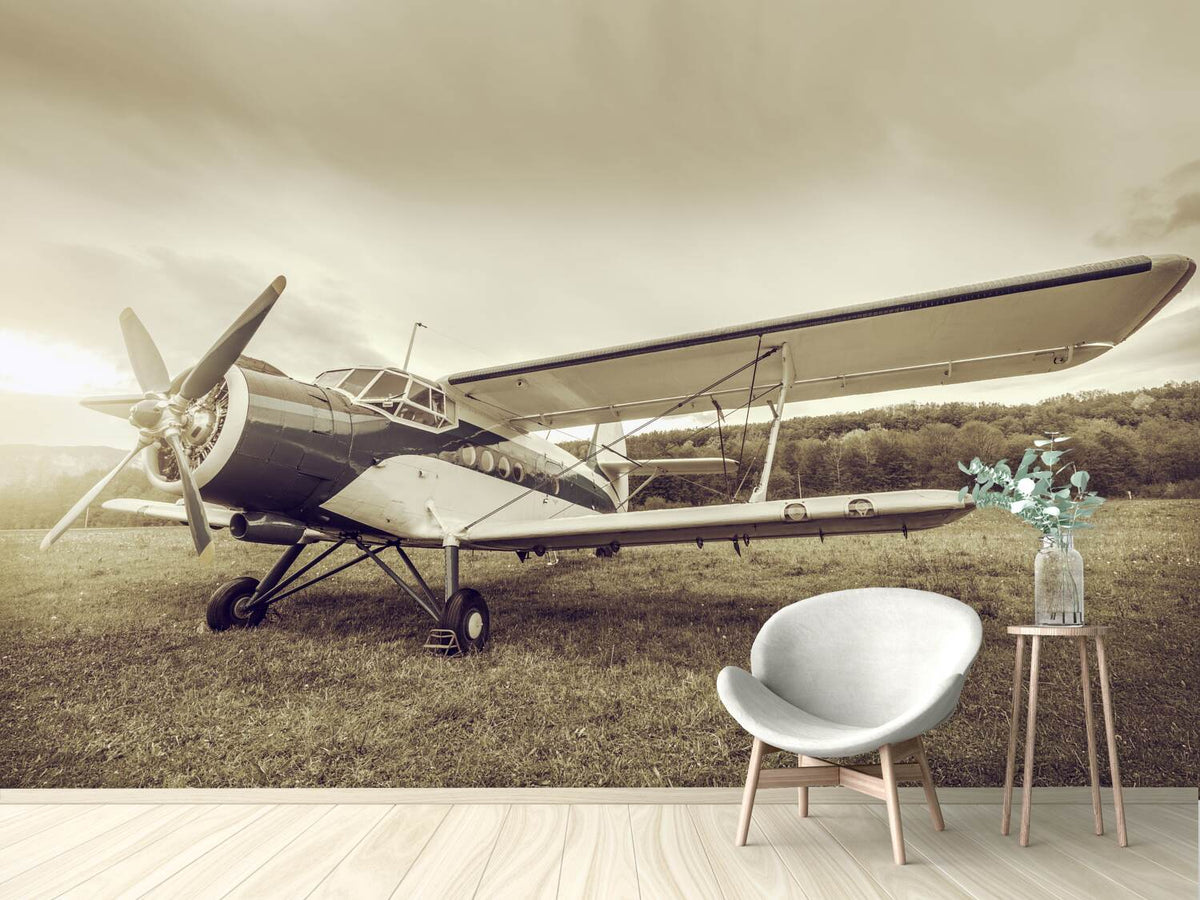 photo-wallpaper-nostalgic-aircraft-in-retro-style