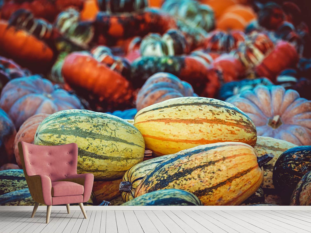 photo-wallpaper-pumpkin-types