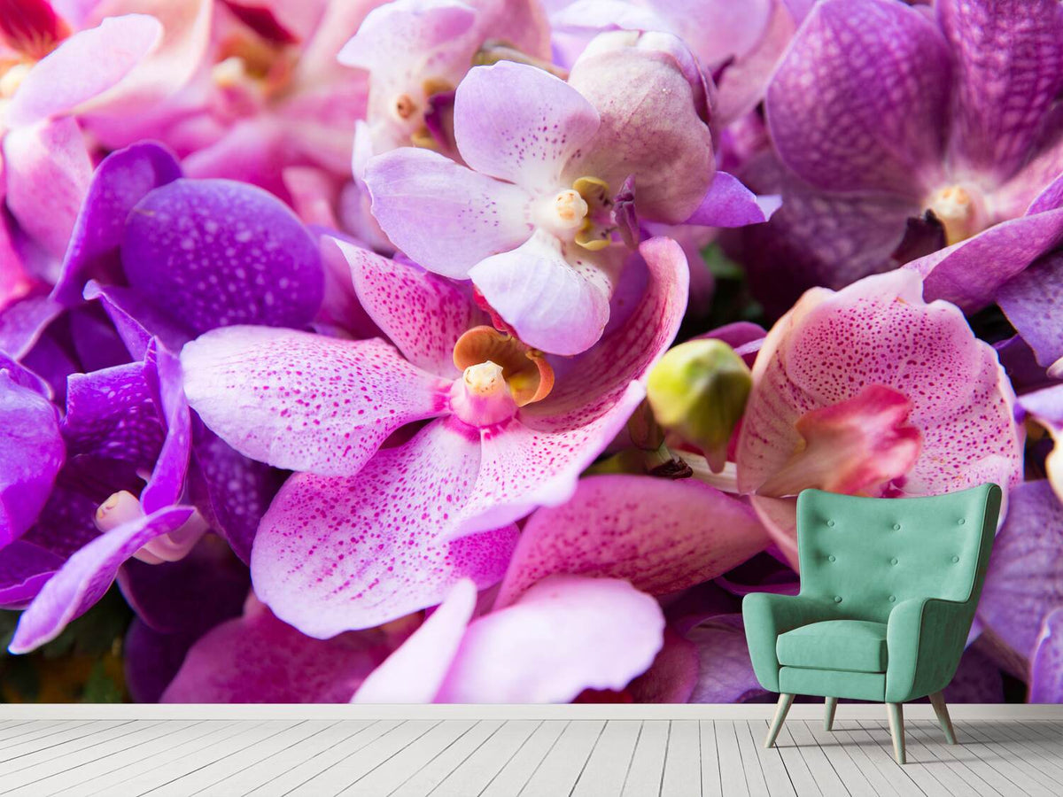 photo-wallpaper-orchid-paradise