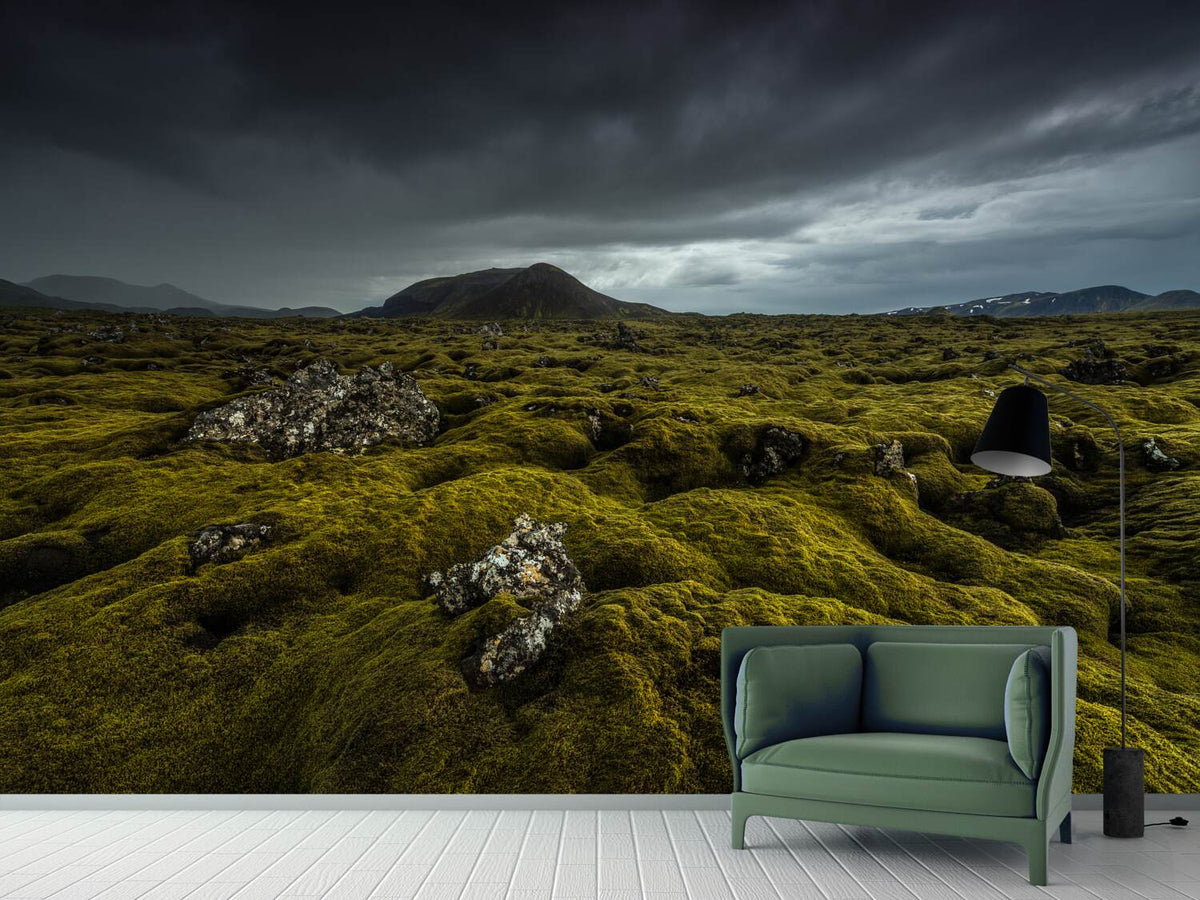 photo-wallpaper-green-carpet-x