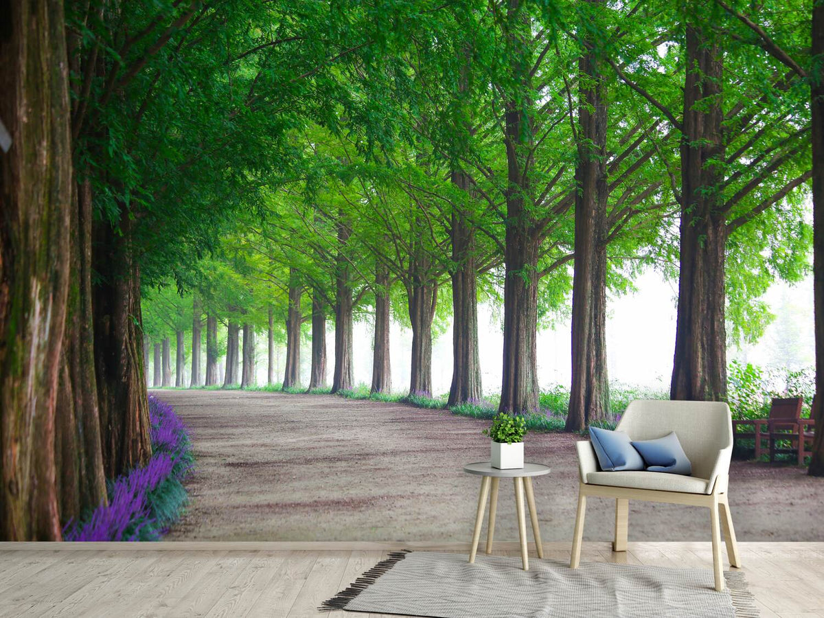 photo-wallpaper-beautiful-tree-avenue