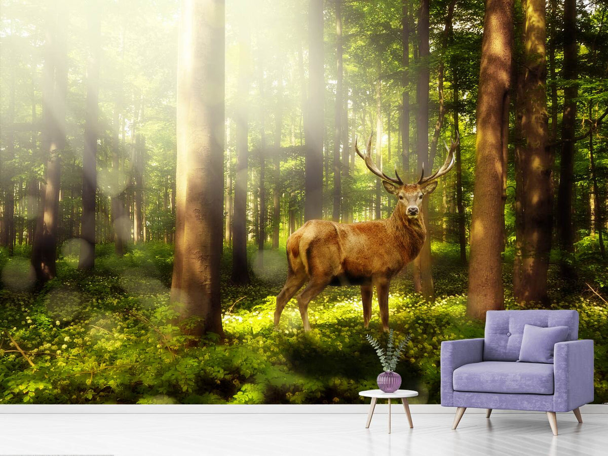 photo-wallpaper-attention-deer