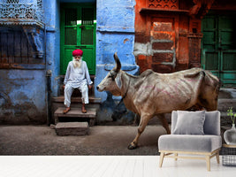 photo-wallpaper-india