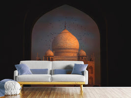 photo-wallpaper-taj-mahal-xjo