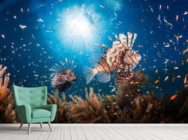 photo-wallpaper-lionfish-ii