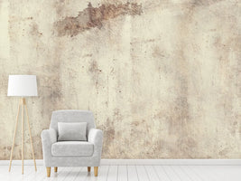 photo-wallpaper-shabby-chic-wall-ii