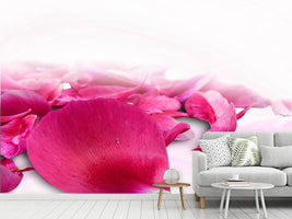 photo-wallpaper-rose-petals-in-pink-iii